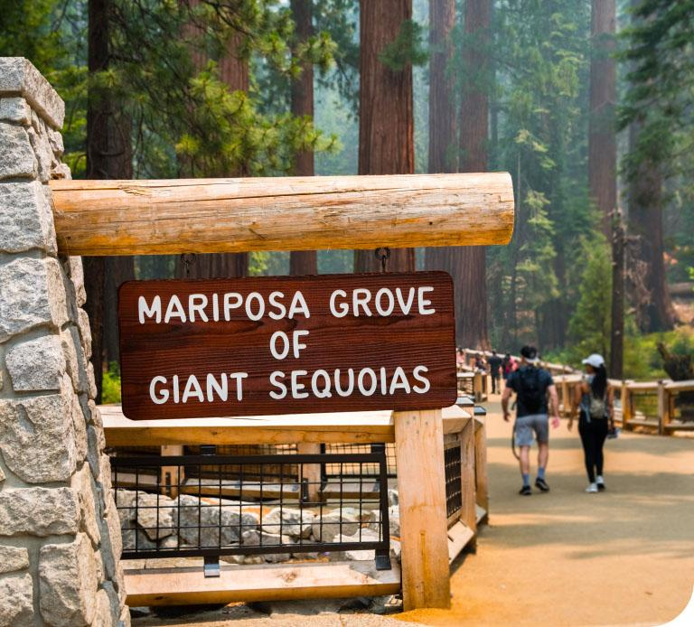 Mariposa Grove of Giant Sequoias sign